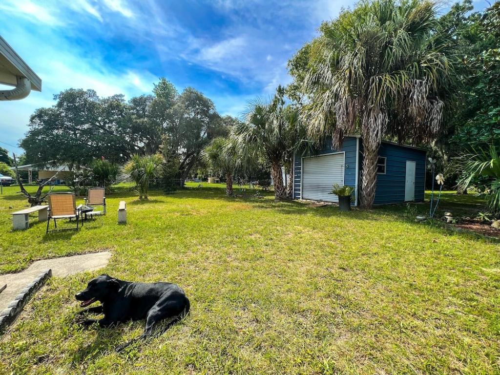 House Of Shells, Beautiful Garden, Fenced Yard, Dog Friendly, Fire Pit! Villa Crystal River Eksteriør bilde