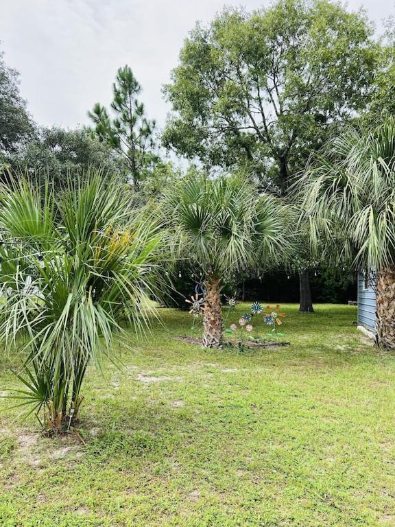 House Of Shells, Beautiful Garden, Fenced Yard, Dog Friendly, Fire Pit! Villa Crystal River Eksteriør bilde
